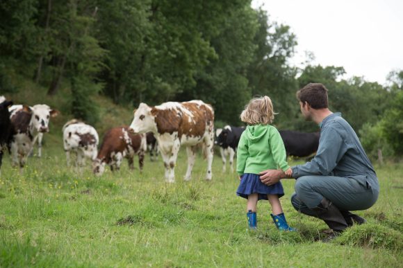 Biodiversite-eleveur-vaches-laitieres-preservation-du-vivant-grand-fermage