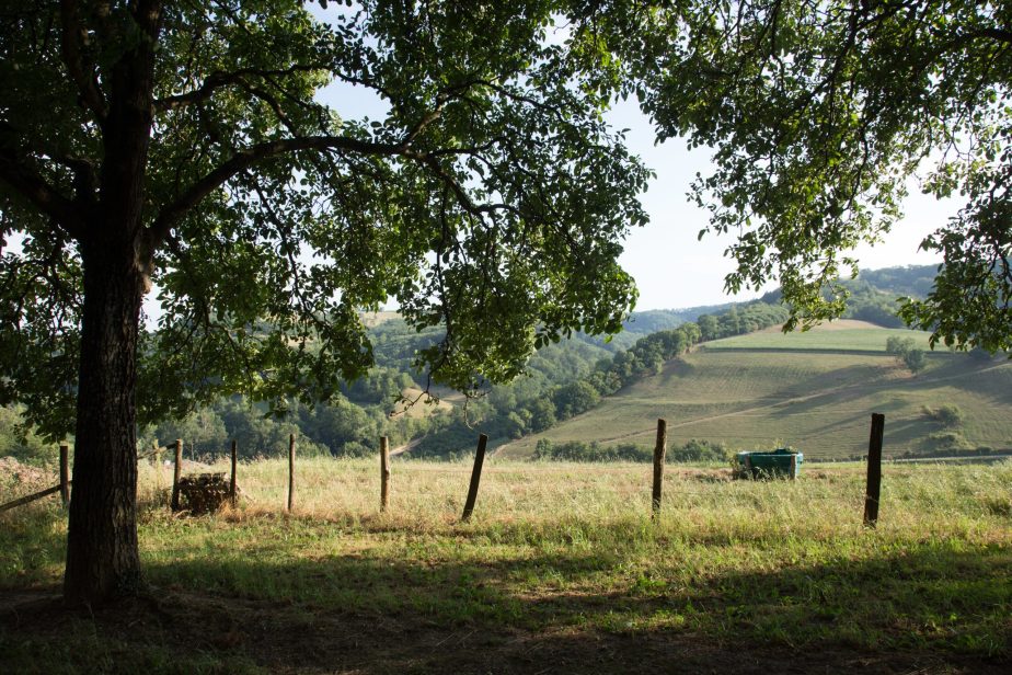 Biodiversite-entretien-des-haies-plantation-des-arbres-grand-fermage