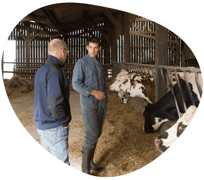 Bulle-bien-etre-animal-surveillance-veterinaire-vaches-laitieres-grand-fermage