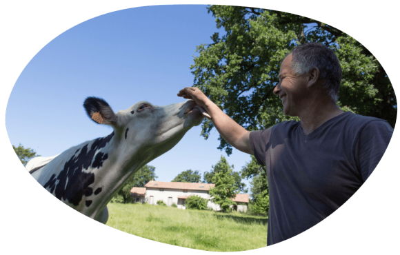 Bulle-bien-être-animal-vaches-laitieres-eleveur-grand-fermage