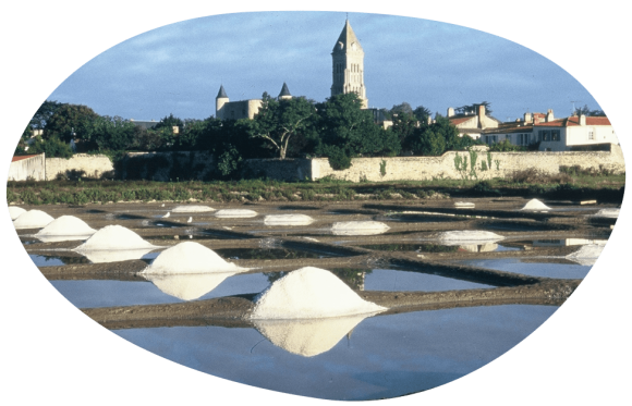 Bulle-territoire-pays-de-la-loire-grand-fermage