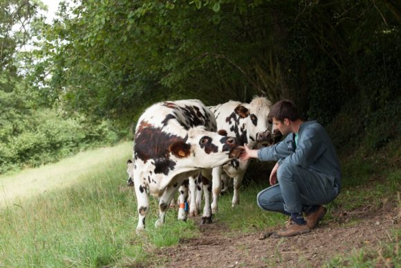 Qui-sommes-nous-esprit-d-equipe-eleveur-passionnés-vaches-laitieres-grand-fermage