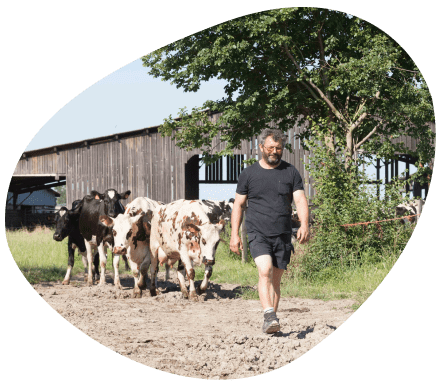 Territoire-centre-val-de-loire-vaches-laitieres-eleveurs-grand-fermage