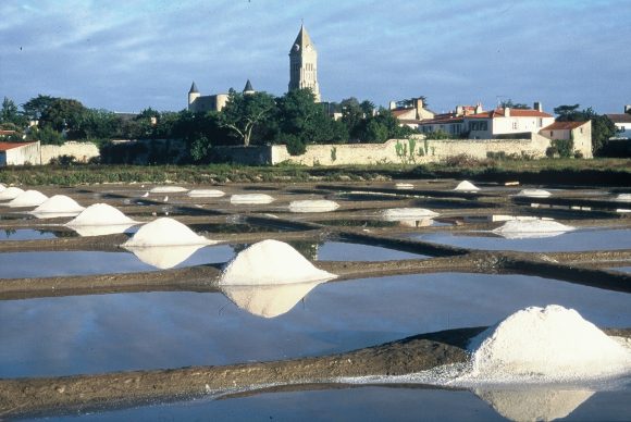 Territoire-pays-de-la-loire-ile-de-noirmoutier-sel-de-noirmoutier-grand-fermage