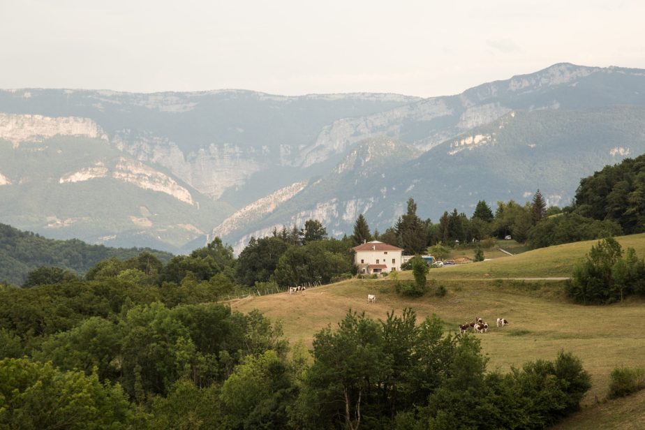 Territoire-rhone-alpes-vaches-laitieres-region-sur-les-toits-de-l-europe-grand-fermage