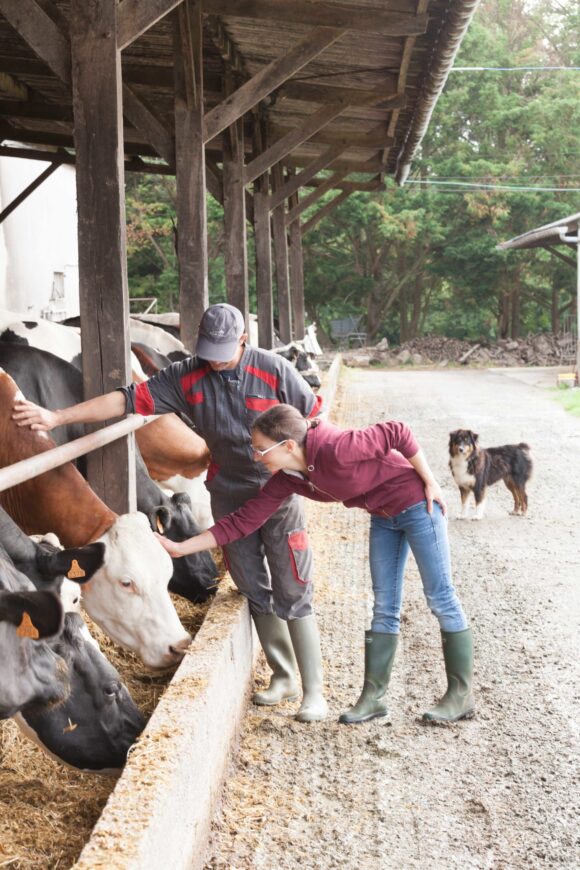 well-being-animal-animal-dairy-breeders