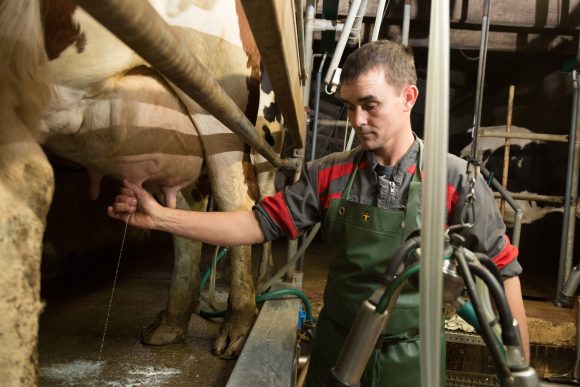weel-being-animal-milk-waste-breeder-health-grand-fermage