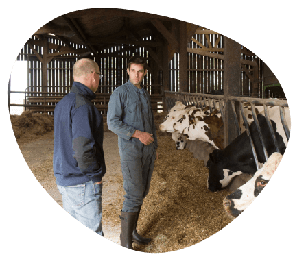 well-being-veterinary-dairy-cows-grand-fermage