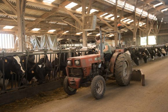 Nos-bonnes-pratiques-d-elevage-batiment-eleveur-vaches-laitieres-grand-fermage