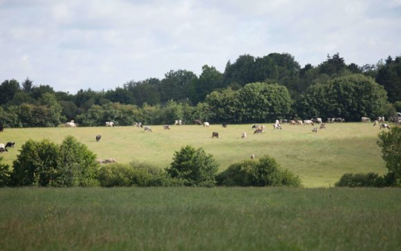 biodiversite-eleveur-laitier-acteur-de-la-preservation-de-la-biodiversite-grand-fermage