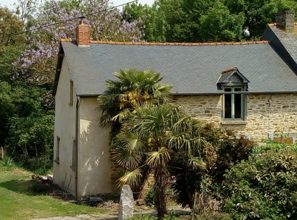 Ferme-guy-plumaugat-gite-grand-fermage